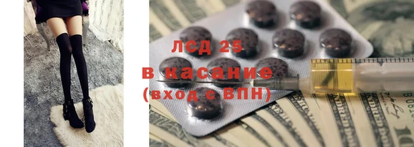 прущие грибы Костерёво