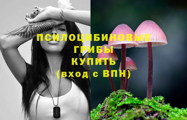 крисы Богданович