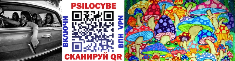 Купить где  Кондопога  Псилоцибиновые грибы ЛСД 